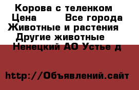 Корова с теленком › Цена ­ 69 - Все города Животные и растения » Другие животные   . Ненецкий АО,Устье д.